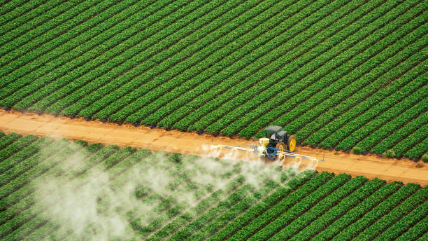 Professional Pest Control in Inwood, FL