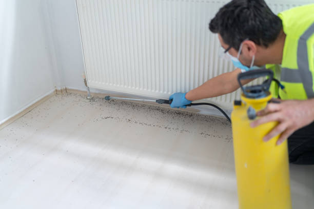 Best Pest Control for Businesses  in Inwood, FL