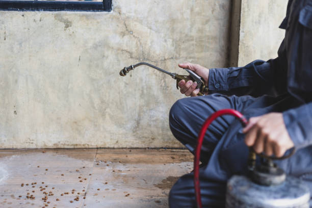 Best Pest Inspection Near Me  in Inwood, FL